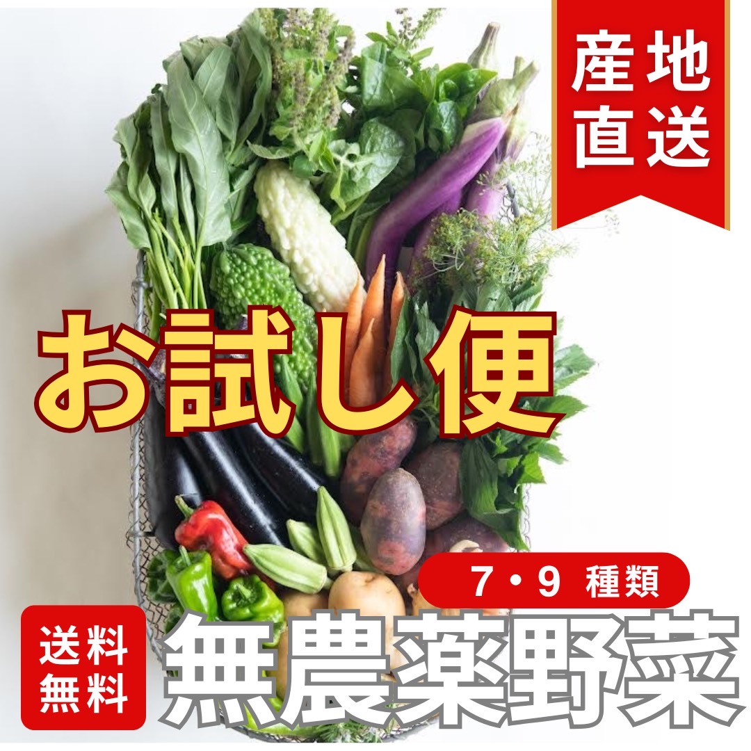 初回限定お試し便